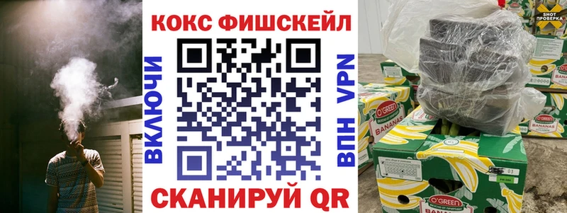 Купить где  Заводоуковск  КОКАИН Fish Scale 