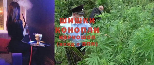 тгк Карпинск