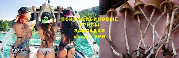 дурь Карталы