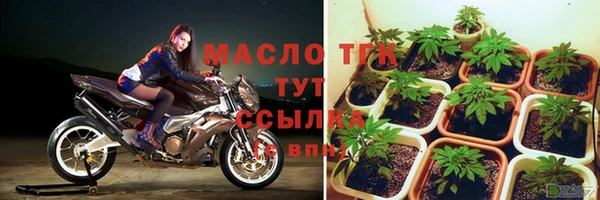 тгк Карпинск