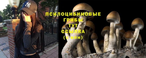 тгк Карпинск