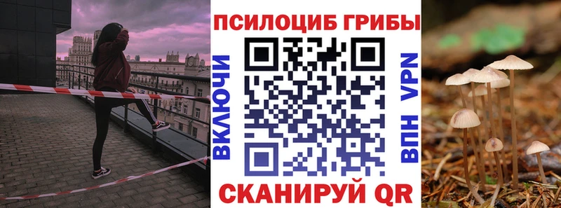 Купить где  Заводоуковск  Галлюциногенные грибы прущие грибы 